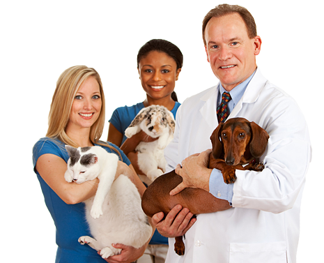 Veterinary Websites - TheDocSites